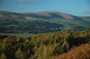 Ynyshir-Cambrian-Mountains